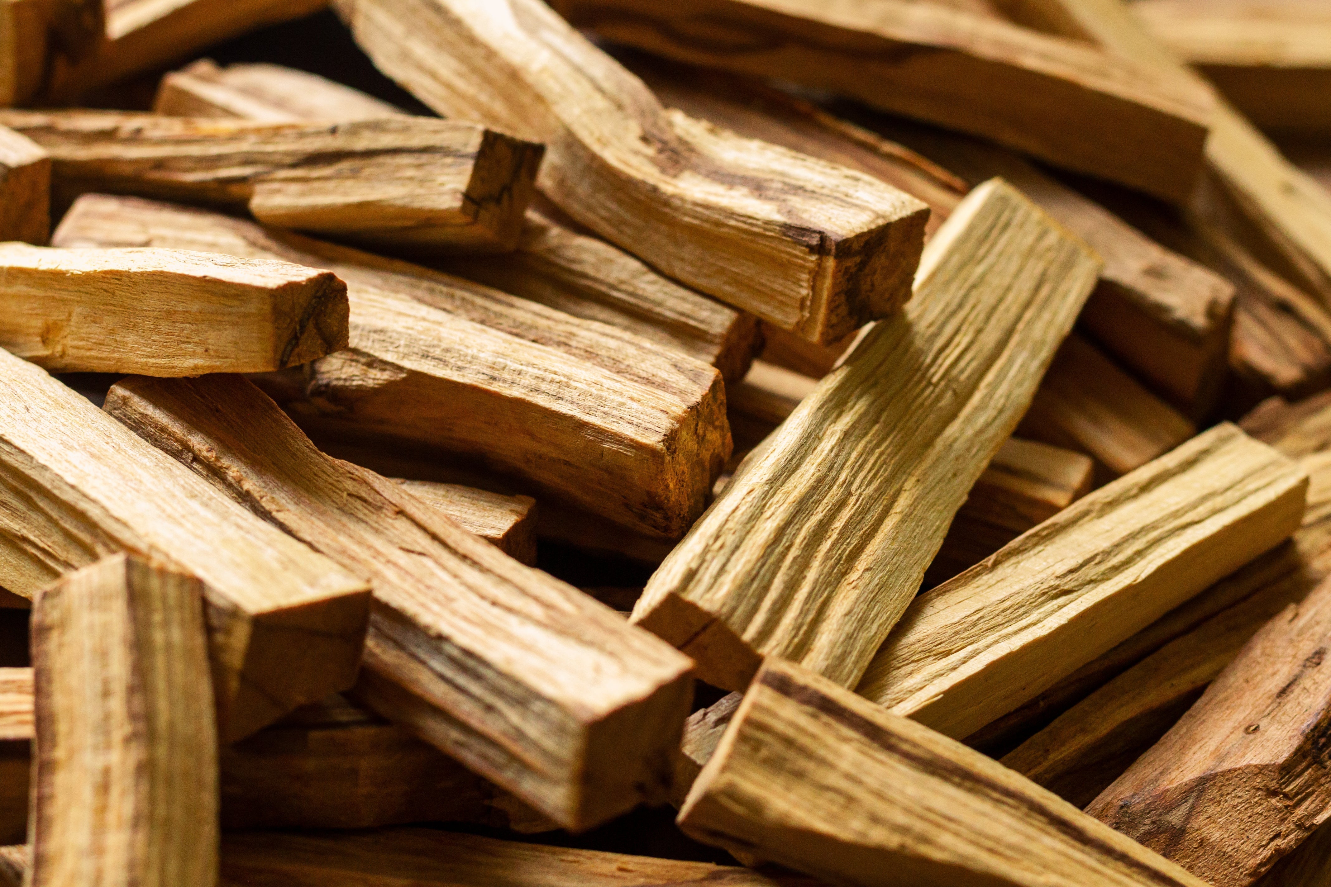 What’s So Special About Palo Santo?