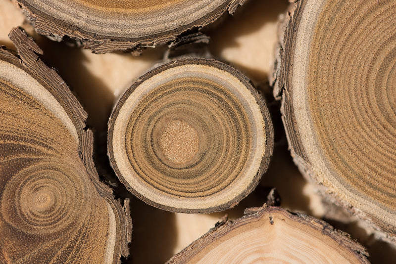 What's So Special About Sandalwood? - Osmia