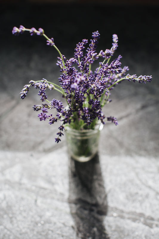 What's So Special About Lavender?