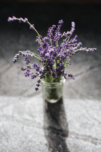 WHAT'S SO SPECIAL ABOUT LAVENDER?
