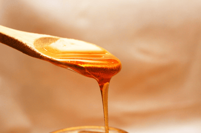 What's So Special About Honey? - Osmia