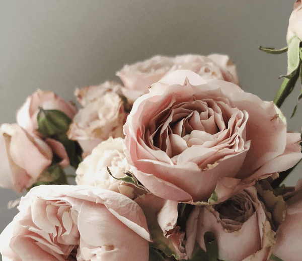 Skincare During Cancer Treatment - Osmia