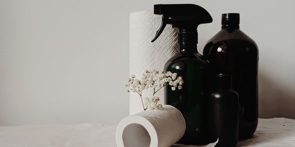 How to Switch Your Home to Eco-Friendly Products: A Complete Guide - Osmia