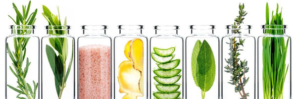 Why We Avoid Certain Ingredients in Skincare—And Always Will - Osmia