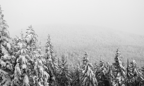 Is "Winter Skin" A Real Thing? - Osmia