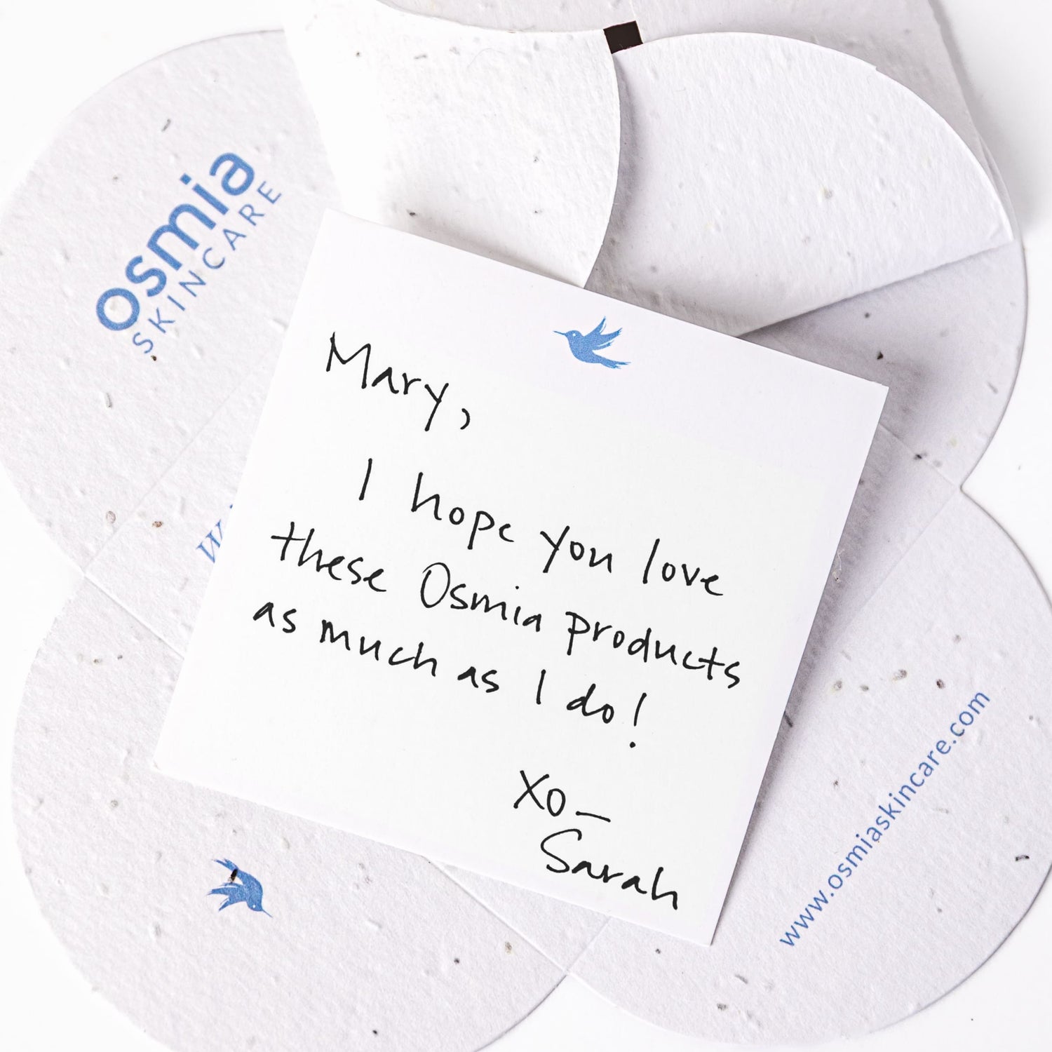 Gift Note Card - Osmia