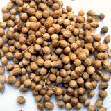Organic coriander seed essential oil
